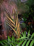 IMG_1272.jpg