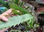 DSC00400.JPG
