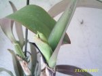 Image0000136.jpg