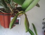 Image0000220.jpg