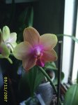 Image0000219.jpg