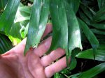 IMG_1278.jpg