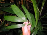 IMG_1316.jpg