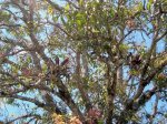 DSCF2416.jpg