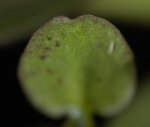 _DSC4234.jpg