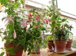 DSC093471.jpg