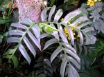 IMG_1507.jpg