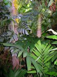 IMG_1518.jpg
