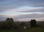 cielos1816.jpg