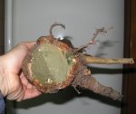 ent6.jpg