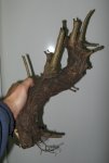 ent7.jpg