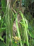 IMG_0075.jpg