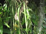 IMG_0074.jpg