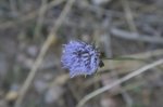 MG_0622.JPG