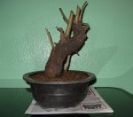 ent9.jpg