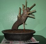 ent10.jpg