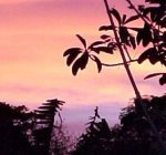 100_3586.jpg