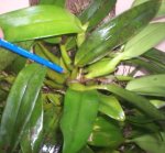 100_4068.jpg