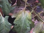 16-10-06_1757.jpg