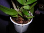 DSCN1848.JPG
