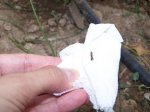 100_2763.JPG