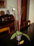 PICT0693.JPG