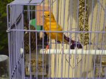 DSC00171.JPG