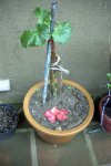 Imagen005.jpg