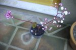Imagen009.jpg