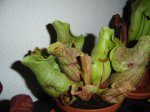 DSC02022.JPG