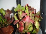 DSC02023.JPG