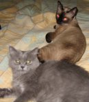 IMG_1764.JPG