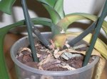 DSCN2586.JPG