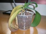 DSCN2593.JPG