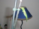 DSCN2589.JPG