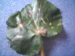 21-10-06_1307.jpg