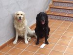 foro lukas y ron 7.JPG