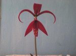 Dsc00055.jpg