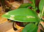 DSC00208.JPG