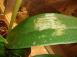 DSC00209.JPG