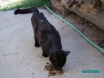 huerta 063.jpg