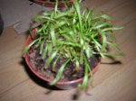 DSCN1877.JPG