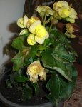 DSC023791.JPG