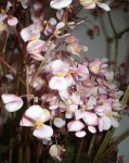 DSC023712.JPG