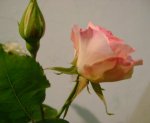 Imagen 040.jpg