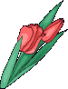 datflor5.gif