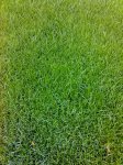 27-10-06_0928.jpg