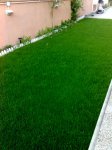27-10-06_0929.jpg