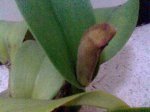Imagen048.jpg