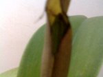 Imagen052.jpg